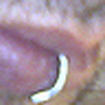 Profile Picture of Kelvin Templeton-Jones (@nonlucid) on Flickr