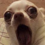 Profile Picture of quotes n other shit 😭. (@brianashpam) on Instagram