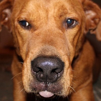 Profile Picture of Brad Winkler (@bjwllc) on Twitter