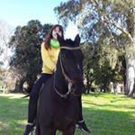 Profile Picture of Josee🐷 (@jose_fitzsimons) on Instagram