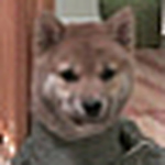 Profile Picture of Ruchia (@ruchia) on Flickr