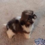 Profile Picture of Marsha Hall (@cocochanelbelle) on Instagram