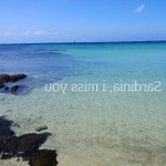 Profile Picture of Shirley Ronk (@standronztrevor) on Instagram