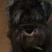 Profile Picture of Woody Gwinbarrett (@woody.gwinbarrett) on Facebook