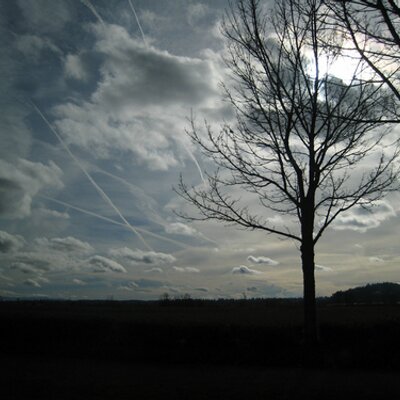 Profile Picture of Roberta Ford (@@RobertaFord) on Twitter