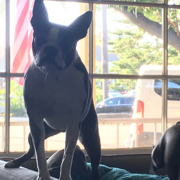 Profile Picture of Greg Shannon (@grsh2701) on Poshmark