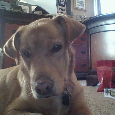 Profile Picture of Jacob Harrelson (@jacobharrelson2) on Twitter