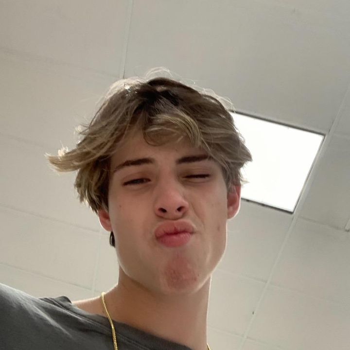 Profile Picture of the doofus (@jasonwaudisadoofus) on Tiktok