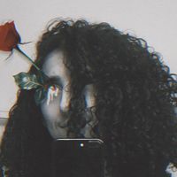 Profile Picture of Robert David (@robertdavid) on Tiktok