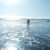 Silvia Polanco - Youtube Profile Picture of Silvia Polanco (@silviapolanco7811) on Youtube