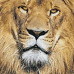 Profile Picture of Jayden Mahadeo (@jaydudegot_swag) on Instagram