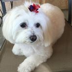 Profile Picture of Joanne Tabone (@joanne.tabone.5) on Facebook