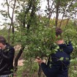 Profile Picture of Peter Burbach (@peterburba) on Instagram