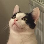 Profile Picture of seth booth (@sjt_art__) on Instagram