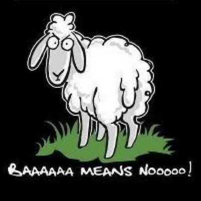 Profile Picture of Carl Hannan (@Taff_Hann) on Twitter