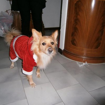 Profile Picture of Riccardo Oliveri (@olirichi21) on Twitter