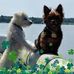 Profile Picture of Jerry Chenault (@jerry.chenault.54) on Facebook