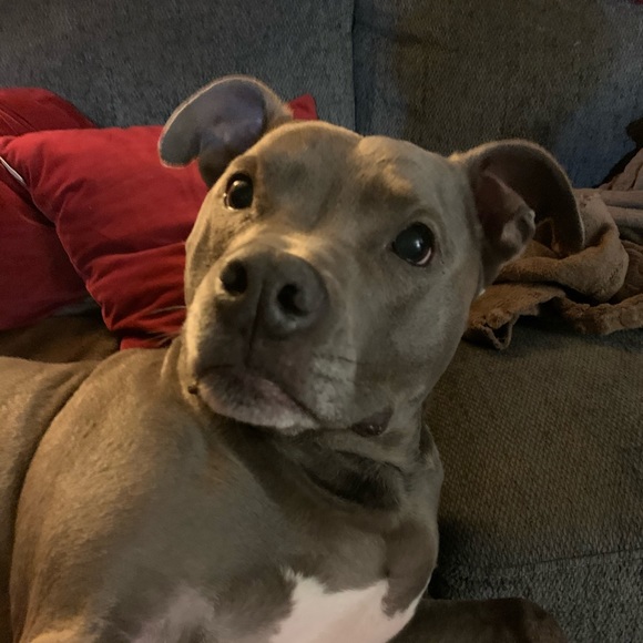 Profile Picture of Mike Luzod (@mikeluzod) on Poshmark