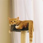 Profile Picture of Chad Maggio Sr. (@shirleyal.ten_werth) on Instagram