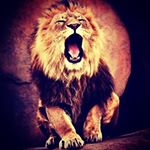 Profile Picture of AAK (@ajmal.ahmed.khan) on Instagram