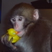 Profile Picture of Penny Bruvold (@penny-bruvold) on Quora