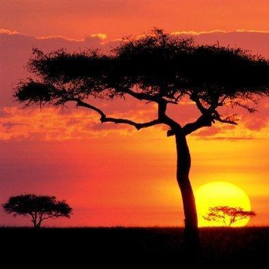 Sandy Gate - Twitter Profile Picture of Sandy Gate (@4017sandgate) on Twitter