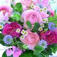 Nancy Kampovsky - Pinterest Profile Picture of Nancy Kampovsky (@nancykampovsky) on Pinterest