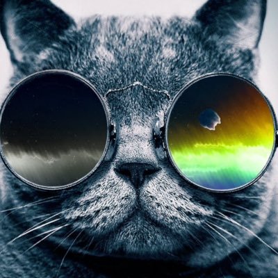 Profile Picture of Sean Jentsch (@JentschSean) on Twitter