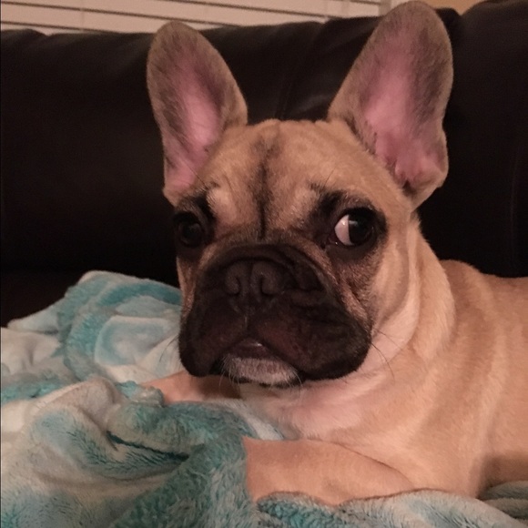 Profile Picture of Julia Blackburn (@jfmille3) on Poshmark