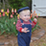 Profile Picture of Peter Breed (@orchideeen) on Flickr