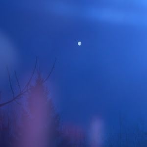 Profile Picture of robertlyttle718 (@robertlyttle718) on Tiktok