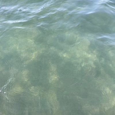 Profile Picture of Jasmine Seary (@jasmine_seary) on Twitter