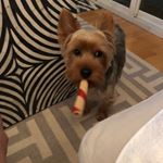 Profile Picture of Jim Curtin (@jim_curtin_nichiha) on Instagram