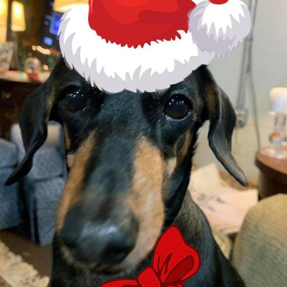 Sara Hayzlett - Poshmark Profile Picture of Sara Hayzlett (@sarahayzbhkm) on Poshmark