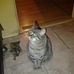 Profile Picture of Gordon Wall (@gordon.wall.399) on Facebook