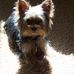 Profile Picture of Paul Schreiber (@paul.schreiber.96) on Facebook