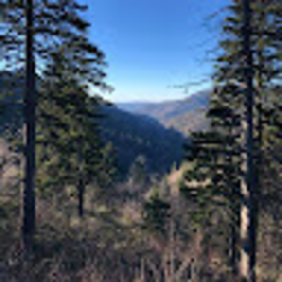 Profile Picture of Logan Abuhl (@kleadus) on Poshmark