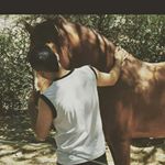 Profile Picture of Axel Castillo Calderón (@axel.ac9) on Instagram