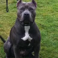 Profile Picture of Seth Pruett (@sethpruett02272) on Twitter