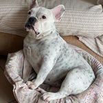 Profile Picture of Jason Calvin (@victory50501) on Instagram