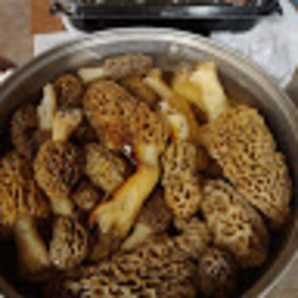 Greg Sands - Poshmark Profile Picture of Greg Sands (@foxhound21221) on Poshmark