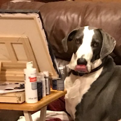 Profile Picture of T. Dawn (@_DS_Kenn) on Twitter