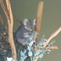 Profile Picture of Janet Cunningham (@janet-cunningham-6) on Quora