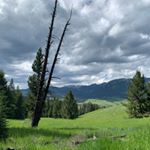 Profile Picture of Anne Staudt (@astaudt) on Instagram