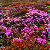 Manku - Youtube Profile Picture of Manku (@manku-bj5fj) on Youtube