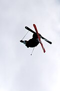 Profile Picture of Freeskiingon Wikipedia
