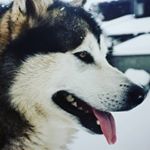 Profile Picture of Samuele Barbieri (@sam_drums02) on Instagram