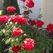 Profile Picture of Paula Flink (@paulaflink) on Pinterest