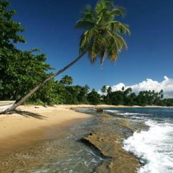 Profile Picture of Carlos Torralbas (@carlostorralbas) on Poshmark