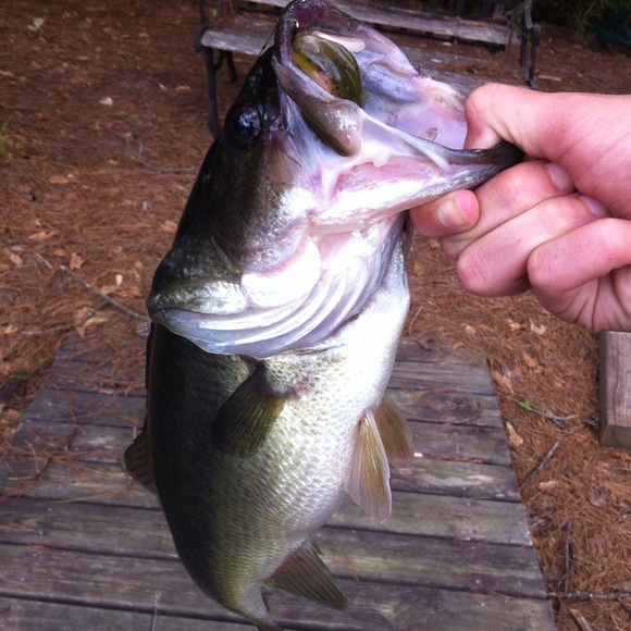 Profile Picture of Corey Coakley (@coakley4) on Poshmark